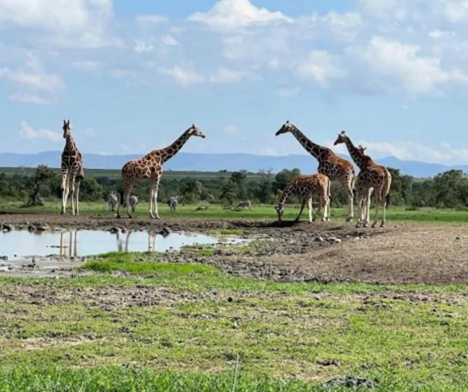 5 DAYS 4 NIGHTS NORTH COAST PACKAGE BY SGR PREMIUM