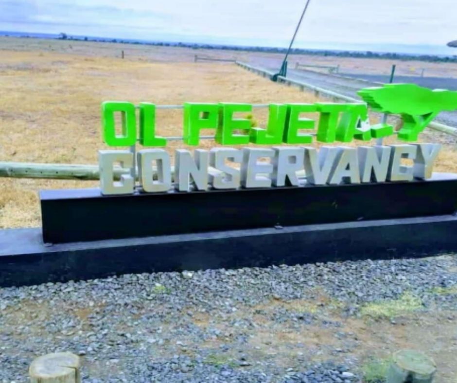 OL PEJETA CONSERVANCY 3 DAYS 2 NIGHTS GROUP TRIP