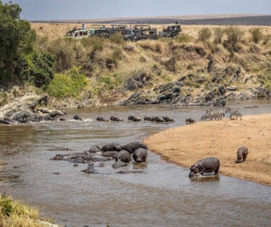 MASAI MARA NATIONAL RESERVE 3 DAYS 2 NIGHTS GROUP TRIP
